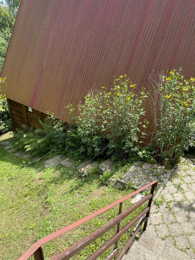 Domek Na Gorze Z Pieknym Widokiem Bukowiec  Exteriér fotografie